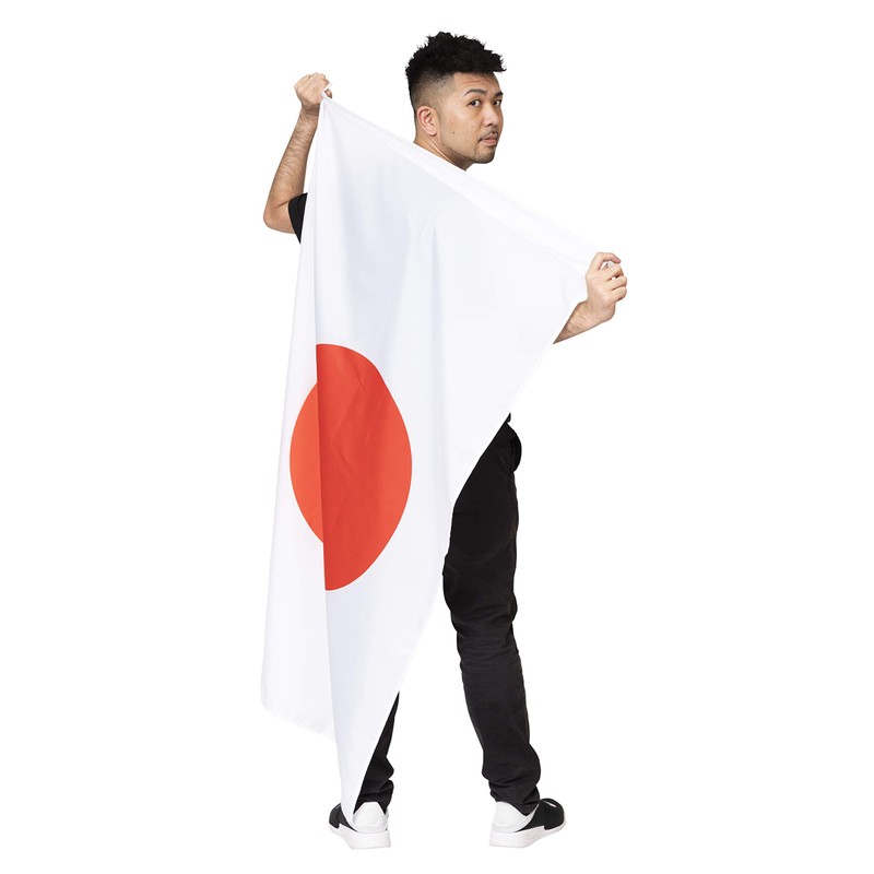 Party City Cheering Goods, Variety Goods, Hinomaru Flag, Large, 35.8