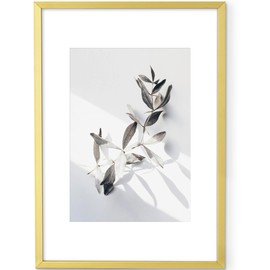 Feihorrm Picture Frame, 20 x 30 cm Metal Photo Frame, for 20 x 30 cm Photos without Mount or 12 x 17 cm Photos with Mount, with Tempered Glass, Aluminium Picture Frame (Gold, 20 x 30 cm / 1x)