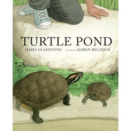 Turtle Pond