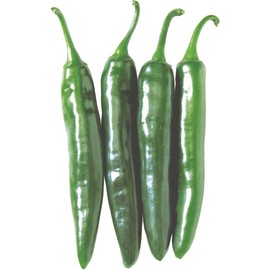 Pepper Seeds - Hot - Korean - Gochu Vita Green - Hybrid - 500 Mg Packet ~50 Seeds - Non-GMO, F1 Hybrid - Asian Garden Vegetable