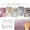Tansu no Gen 58700134 (88630) Blanket, Single, Fabric Renewal, Moisture-Absorbent,