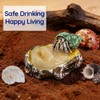 13PCS Natural Small Medium Hermit Crab Shells with Sea Sponge