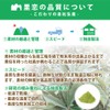 Satoren Loquat Leaf Tea, Made in Japan/Tokushima, 100% Loquat Leaf