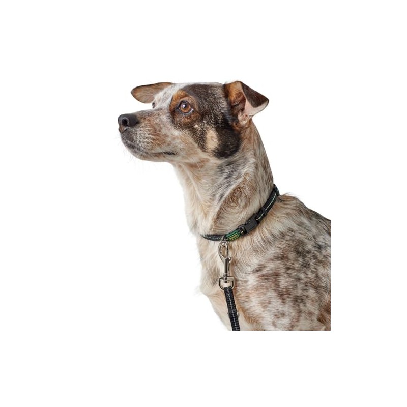 HUNTER TRIPOLI VARIO BASIC Dog Collar Nylon Reflective Click Closure