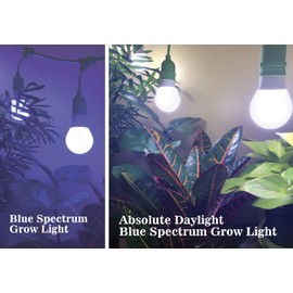 Miracle LED 4-Socket Powervine Grow Kits, with 12W Full Spectrum Bulbs and 14W Blue Spectrum Bulbs and 14W Red Spectrum Bulbs for Vegetables, Herbs, Hydroponics (2-Pack)