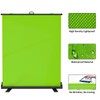 WASJOYE Green Screen Background with Stand, 79 x 59 in