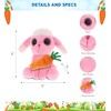 DolliBu Happy Easter Sparkling Eyes Pink Poodle Dog with Carrot