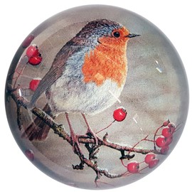 Robin Paperweight by Robert E Fuller Wildlife Artist | 8cm Domed with Velvet Cushioning to Base | Luxury Gift Box Makes Perfect Gift