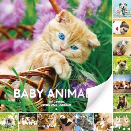 EUCATUS BEST PRODUCTS & GIFTS Super Cute 18 Month Baby Animals Wall Calendar 2025-2026. Big 12x12 Inch Nove...