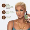 Kit De 3 Productos Mielle Shampoo, Mascarilla Y Tratamiento.