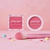 Set Rubor En Crema Y Polvo + Brocha Beauty Creations