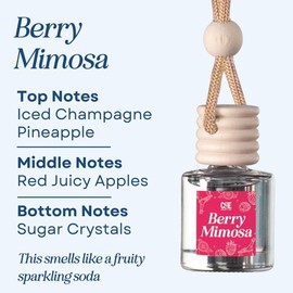 Scented Car Air Freshener - Long Lasting Car Diffuser - Last 60+ Days:_Berry Mimosa