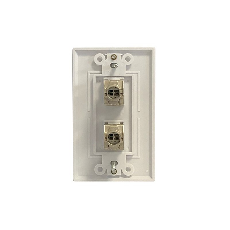 RiteAV CAT 6A 2 Port Shielded Cat6a Punchdown Wall Plate