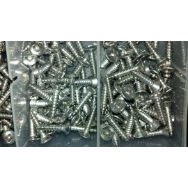 Store House 320 PIECE AUTO TRUCK STAINLESS STEEL SCREWS INT/EXT RESISTS RUST MULTI USE TRIM