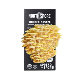 North Spore North Spore Organic Golden Oyster Mushroom Spray & Grow Kit (4 lbs) | USDA-Certified Organic, Non-GMO, Beginner-Friendly & Easy to Use | Handmade in Maine, USA