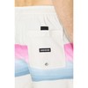 Quiksilver Men's Standard Resin Tint PCS Volley 17 Swim Trunks,
