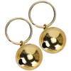 2pcs ILost Copper Bells with Crisp Sound for Dog Cat