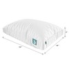 Sleepgram Cooling Bed Pillow & Removable Cover for Sleeping Sets,