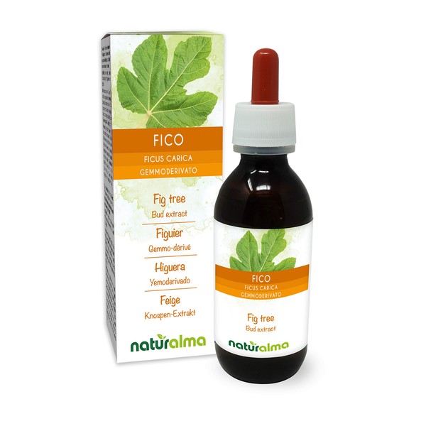 Fig (Ficus Carica) Alcohol-Free Bud Extract from Fresh Buds Naturalma Liquid Extract Drops 120 ml Dietary Supplement Vegan