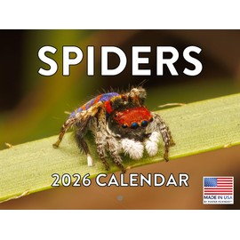 Spider Calendar 2026 Spiders Monthly Wall Calender 12 Month | American Made In The USA