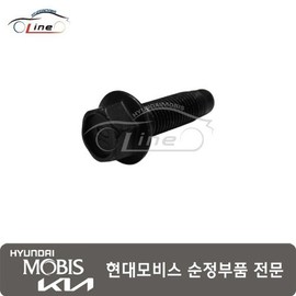 Hyundai Mobis Bolt rear slide 88550 1J000 / 볼트 리어 슬라이드 88550 1J000
