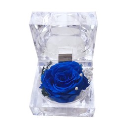 DoraMagic Preserved Rose Real Forever Rose in Mini Clear Ring Box, Eternal Flower Rose Gifts for Women Mom Girlfriend Grandma, Mothers Day, Anniversary, Valentines, Christmas, Birthday (Blue)