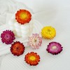 Pack of 30-40 dried flower heads for wedding and autumn