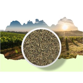 Organic Natural Pure Cnidium Seed (Cnidium Monnieri) Dried Bulk Herbs -10.58 Ounce (300gram)