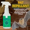 Donaldson Farms Bat Repellent Spray – Indoor and Outdoor Deterrent