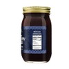 Green Jay Gourmet Blueberry Salsa - Blueberry Flavored Fruit Salsa