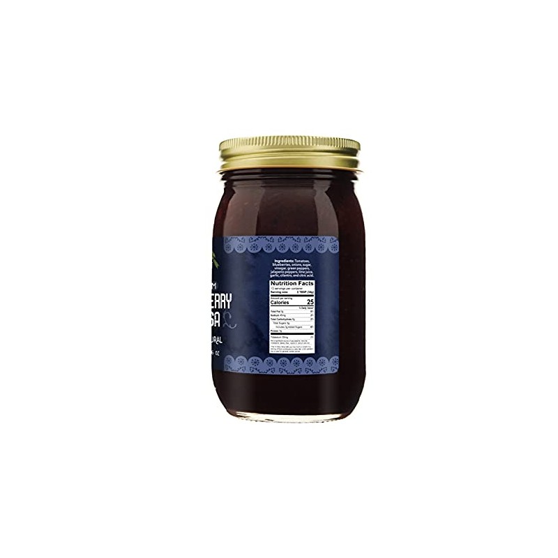 Green Jay Gourmet Blueberry Salsa - Blueberry Flavored Fruit Salsa