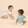 The Honest Company Clean Conscious Diapers for Delicate Skin |