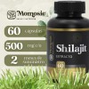 Shilajit 20% Ácido Fúlvico | 60 Caps De 500 Mg