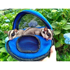 Kucci Carry Pouch - Fleece Travel Bonding Carrier Bag - for Sugar Gliders, Squirrels, Marmosets, Hamsters, Rodents, Rats, Reptiles & Other Small Pets (Regular)