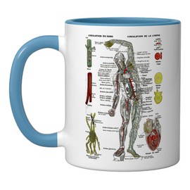 Vintage Blood-Vascular System Circulatory Medical Skeleton Ceramic Mug, Blue/White