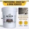 Woolwax SALTBUSTER Salt & Brine Remover/Neutra