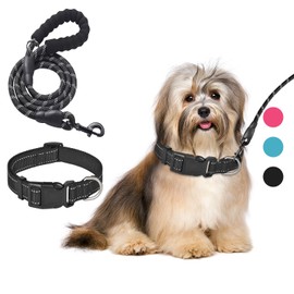 GAMAXIMA Collar de Perro Reflectante con Correa y Hebilla, Collar de Nylon Seguridad Ajustable, Collar para Perros y Gatos Chico, Medianas o Grandes (Negro,M)