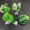 Cayway 14 PCS Fish Tank Decoration Betta Bed Leaf Betta