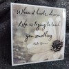 MoonlightJadeArt STKR015 Inspire Motivate Life Quote Sticker - Observe Teaching