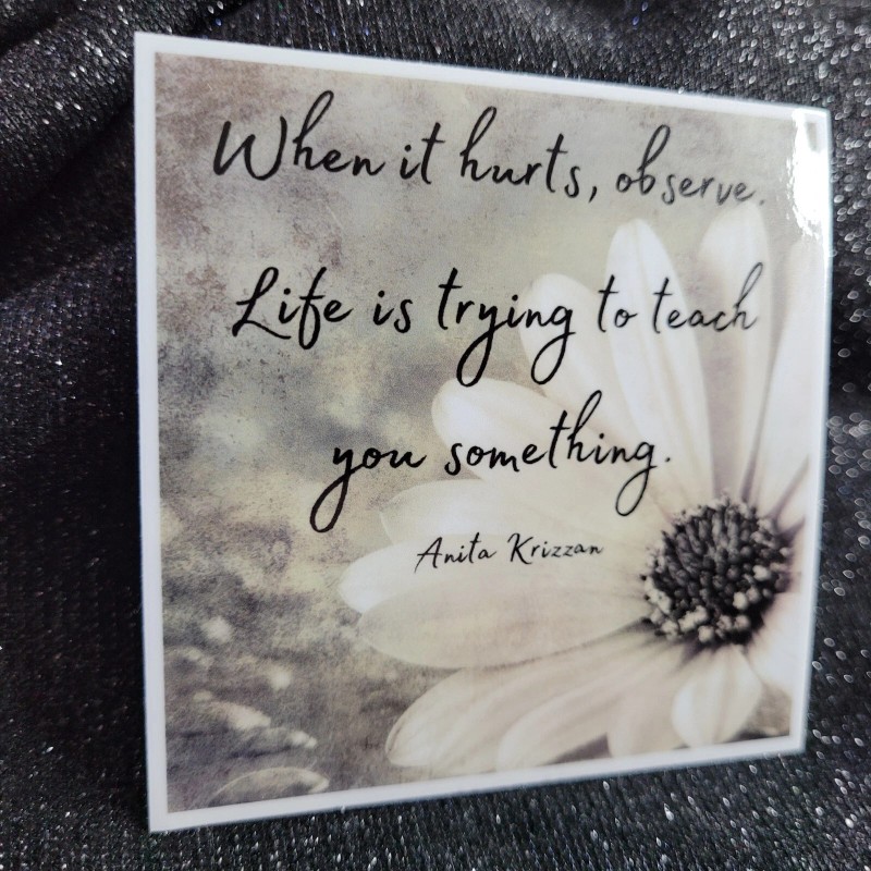 MoonlightJadeArt STKR015 Inspire Motivate Life Quote Sticker - Observe Teaching