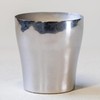 HORIE T15KM250-000 T15KM250-000 Titanium Double Wall Tumbler Rei/Hana Titanium, Made
