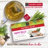 Nature's Heart 7502252484445 Te Happy Belly, Curcuma, jengibre, 30 gramos