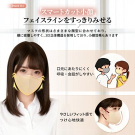 AI-WILL Hanassia 3D Mask, Bi-Color, Non-Woven Mask, Small Face Type, Disposable Mask, Individually Packaged, 10 Pieces, One Size Fits Most, 5.3 x 4.1 inches (135 x 105 mm) (Beige x Wine)