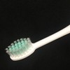 Mystical Rig Mountain Notebook Toothbrushes Kline Normal 12 Pairs (Colors)