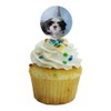 Shih Tzu Dog Birthday Party Hat Cupcake Picks Toppers Decoration