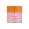 Tree Hut Overnight Lip Mask 17g (Choose 1 of 3 types) - Watermelon / 트리헛 오버나이트 립 마스크 17g (3종 택1) - 워터멜론