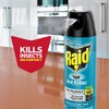 Raid Ant Killer Spray Pine Forest 17.5 Ounce (Pack of