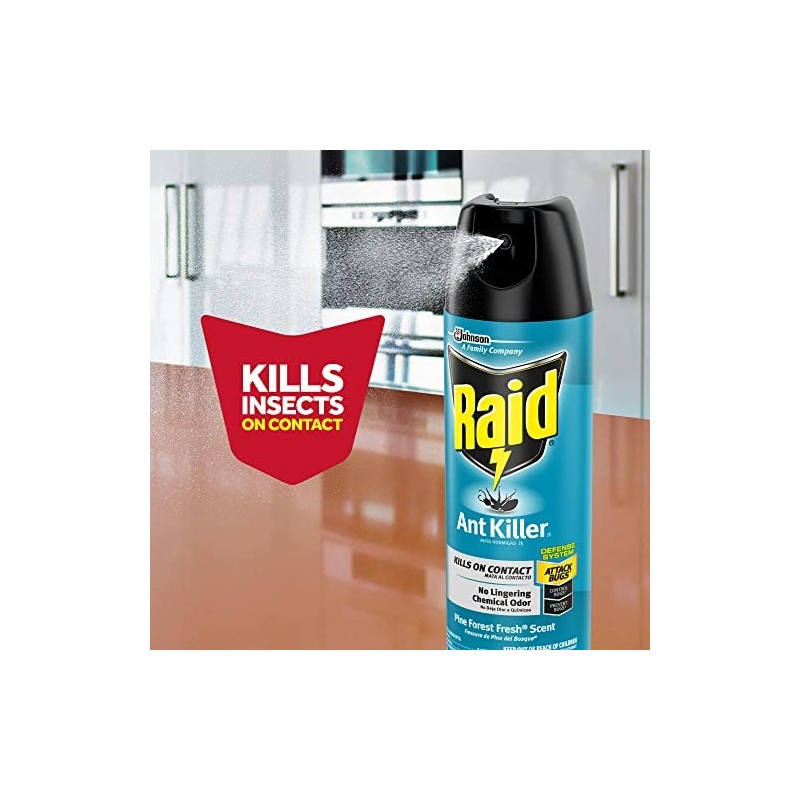 Raid Ant Killer Spray Pine Forest 17.5 Ounce (Pack of