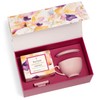 Tea Forte Mariposa 3-Piece Premium Tea Gift Set with Rose