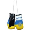 Ukraine Boxing Glove / Ukraine Flag / Mini Ukraine Boxing Glove